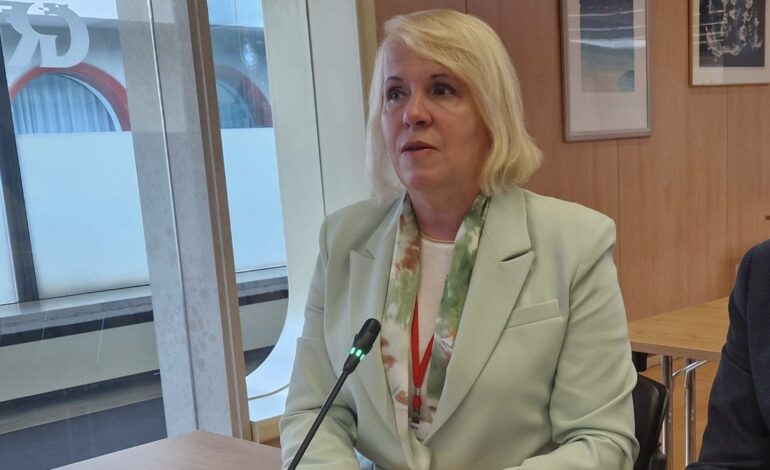 Nataša Jovanović na Odboru za demokratiju i bezbednost: Etnički motivisano uznemiravanje Srpkinja na Kosovu sve učestalije