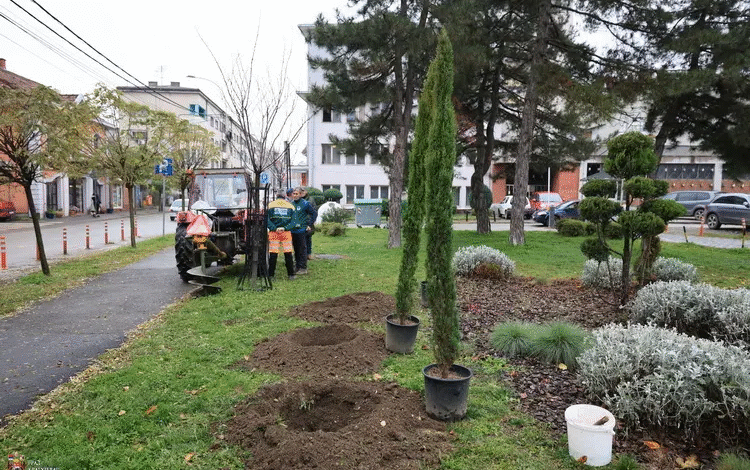 Biljke otporne na klimatske promene za zdraviju životnu sredinu
