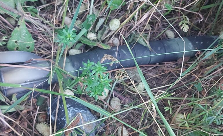 Ako primetite nešto sumnjivo, odmah prijavite i ne dirajte: Uništena još tri neeksplodirana ubojna sredstva u Kragujevcu