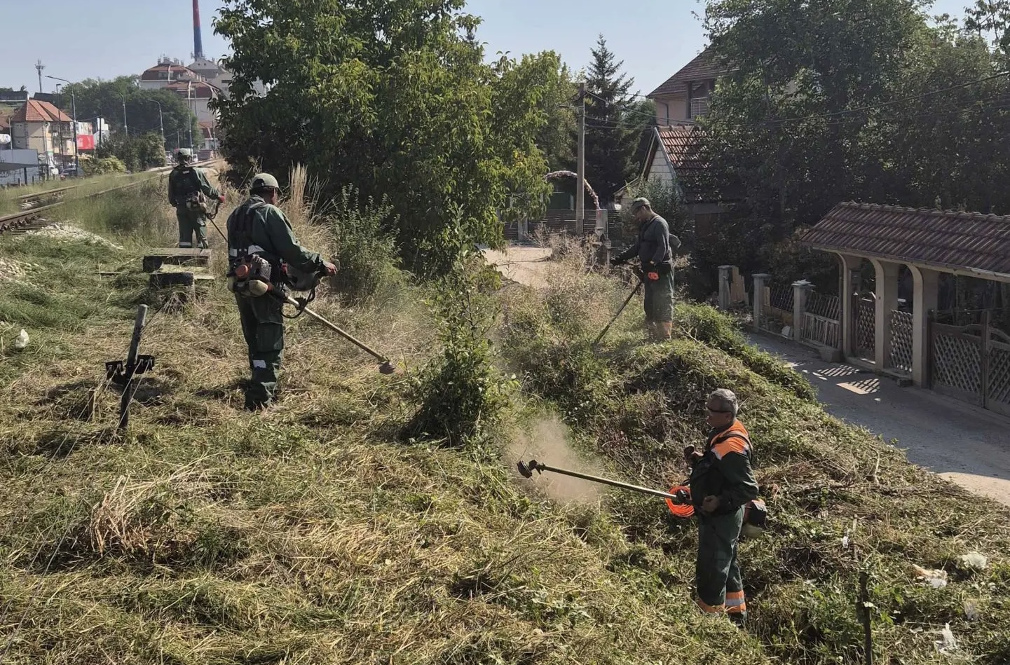 JKP „Šumadija“ nastavlja suzbijanje ambrozije na javnim zelenim površinama u Kragujevcu