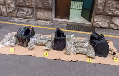 (FOTO) VELIKA POLICIJSKA AKCIJA U KRAGUJEVCU: Otkrivena laboratorija za marihuanu, pronađeno 211 biljaka i kilogrami droge