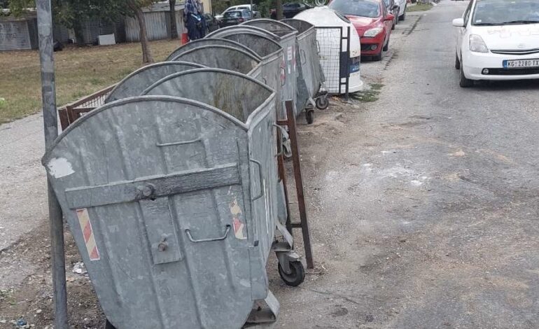 Saniiran problem u Ilindenskoj ulici: Uklonjen oboreni kontejner i očišćen prostor