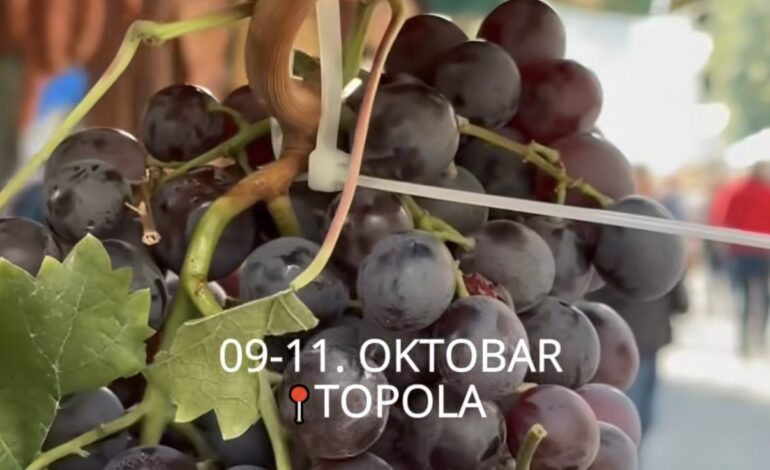 VINO, GROŽĐE, TRADICIJA I ŠUMADIJSKI DUH: 63. Oplenаčka berba od 9. do 11. oktobra